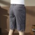 Summer workwear shorts men's trendy ins viral loose streetwear Korean-style 5-inch pants