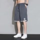 Ice silk shorts men's summer 2025 new quick-dry workwear 5-inch loose casual sport mid-length pants